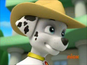  Marshall, the Dalmatian