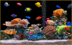  Aquarium achtergrond