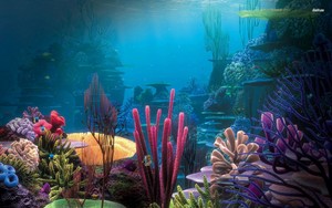  Aquarium kertas dinding