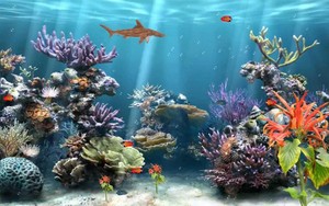  Aquarium Hintergrund
