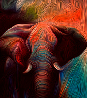  Beautiful 코끼리 Artwork