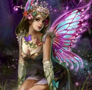  papillon Fairy