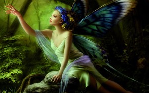  kupu-kupu Fairy