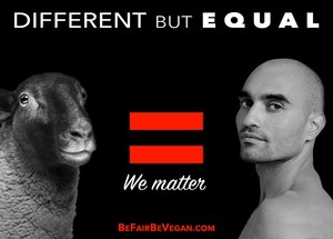 Different But Equal