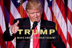  Donald Trump (Make America Great Again)
