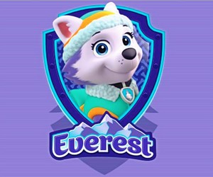  Everest