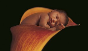 Miracle by Anne Geddes