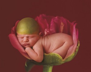  Miracle によって Anne Geddes