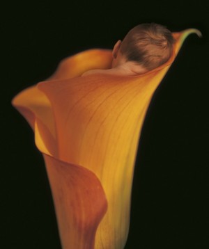  Miracle by Anne Geddes