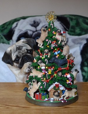 Pug Christmas Tree