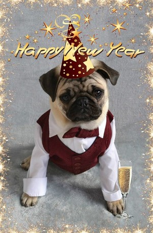  Pug Happy New jaar