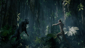  The Legend Of Tarzan HD kertas dinding