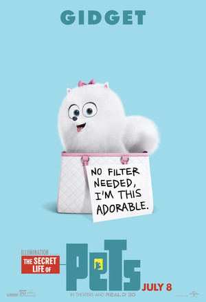  The Secret Life Of Pets Character Poster