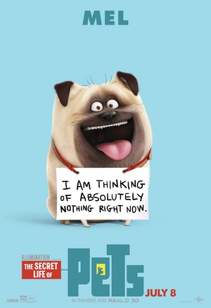  The Secret Life Of Pets Character Poster