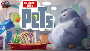  The Secret Life Of Pets দেওয়ালপত্র