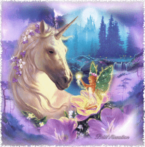  Unicorn and Fairy