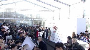  "xXx: The Return of Xander Cage" Premiere in China - Interview