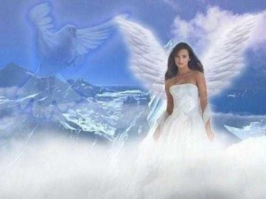  Beautiful Angel 💙
