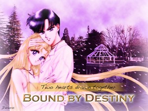 Bound by Destiny  Redux 