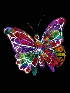  Colourful vlinder