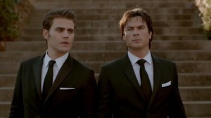 Damon and Stefan 