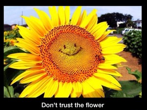  Don't trust this flower!