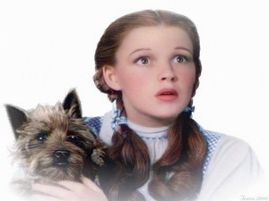  Dorothy and Toto 💕