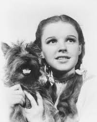  Dorothy and Toto