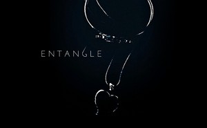  Entangle Book Обои 2017, The Entwine Series