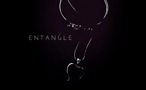  Entangle Book Hintergrund 2017, The Entwine Series