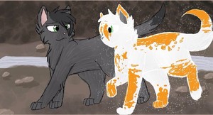 Hollyleaf and Fallen leaves