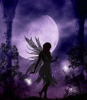  Moonlight Fairy