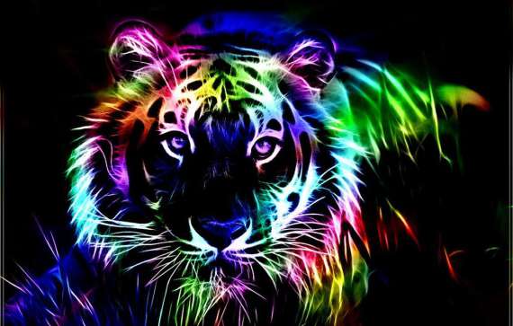 Neon Big Cat - Bright Colors Photo (40253705) - Fanpop