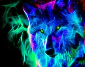  Neon lobo
