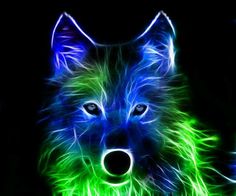  Neon 狼, オオカミ