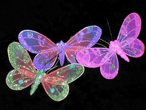  Pretty Butterflies