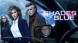  Shades of Blue - Season 2 Poster