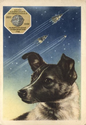  Soviet Weltraum Dogs: Laika