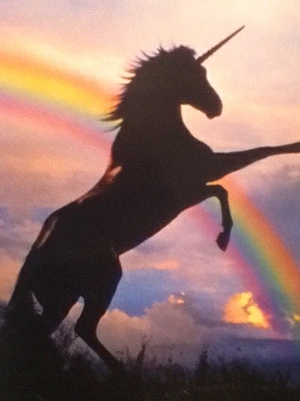 Unicorn and Rainbow