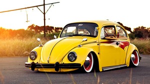  Volkswagen Beetle (Volkswagen Käfer): Yellow