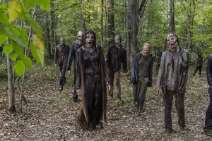 7x15 ~ Something They Need ~ Walkers