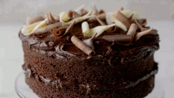  초콜릿 cake