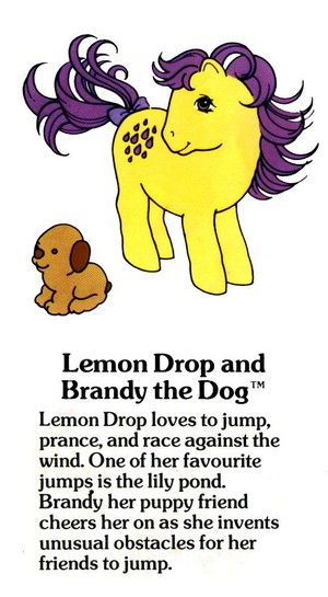  lemon Drop and brandy the Dog Fact File
