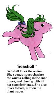  Seashell Fact File