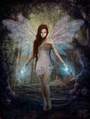 Magical Fairy