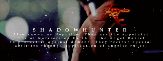  Shadowhunter