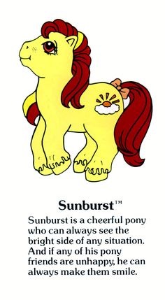 Sunburst Fact File