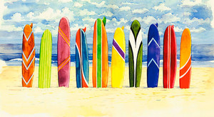  Surfboards