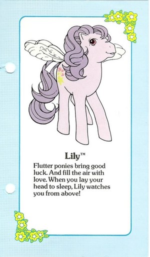  Lily Fact File
