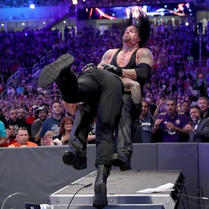 Wrestlemania 33: Roman Reigns vs. The Undertaker